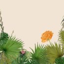 색연필일러스트&보타니컬아트 이미지