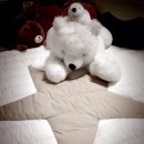 해빛유치원 앞 이미지