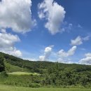 파라지오 컨트리클럽 | 파라지오cc 라운딩 후기