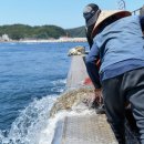 한국수산질병관리원 이미지