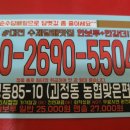 롤로코리아 이미지