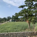 아하더스테이 | 제주 한림 숙소 스테이아하, 제주 서쪽 풀빌라 감성 숙소 추천