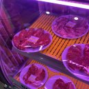 반월로 | [안산 반월 맛집] 입에서 살살 녹는 1++ 한우 파티! '반월한우마을' 가성비 소고기집 후기 🥩✨