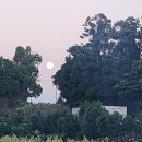 경호농장 이미지