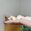 인영한의원 이미지