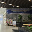 [공지] 마음이 예술이 된 시간, 힐링미술아트테라피 전시회-1(세종시 종촌장애인보호작업장)