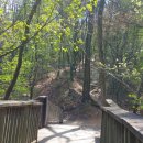 국사봉 지석묘군 이미지