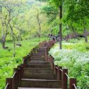 동천수목원