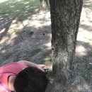 송수초등학교병설유치원 이미지