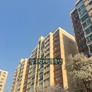 압구정-117 이미지