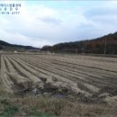 사기소리 이미지