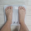 나우커피일산점 | 일산 마운자로 최저가 병원 비교 1주차 감량후기