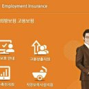 더블유교육