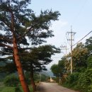 길목펜션민박 이미지