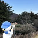공항골프존 | [제주] 제주공항 근처 시내 한라산뷰 골프존카운티 오라CC 남코스(IN/OUT) 후기
