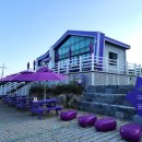 박지마을호텔, 식당 이미지