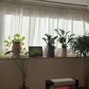 텔런트 | 홍대 피부관리 탤런트에스테틱 윤곽관리 신부관리 후기