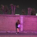원앤푸드