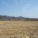 양옥마을회관 Daum카페