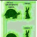 토끼와거북이 이미지