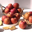 북안동농협 이미지