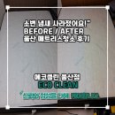 해오름clean전문세탁 | 울산 침대청소 에코클린, 소변 냄새 제거 확실한 이유