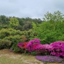 쇳골길32번길 이미지