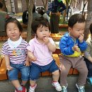 들마을공원 이미지