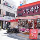 우리소정육점
