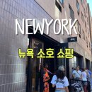 뉴욕뉴욕(New York New York) | 뉴욕 소호 스투시, 슈프림, NYON (New york or Nowhere) 후기