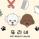 또리네 Petsalon 이미지