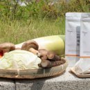 은혜야채 이미지