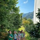 자연해나어린이집 이미지