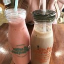 독앤트리 이미지