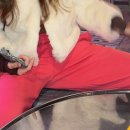 광시칼국수 이미지