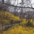 시민의숲산책로1-11 이미지