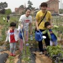 평동농장 이미지