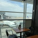 제이드유통 | 홍콩국제공항 완탕면 맛집 Jardin de Jade 자딘 드 제이드 딤섬세트 메뉴, 가격