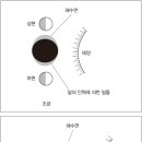 태양인력 이미지