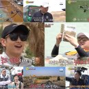 힐링 선 이미지