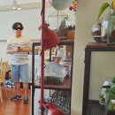 금정구 장애인복지관 | 부산 복지관 테라리움 단체 수업 후기- 기관 출강