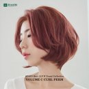 리안헤어가정