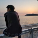 자바카라반 이미지