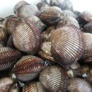 나주목사고을시장 이미지