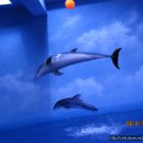 장생포고래박물관 이미지