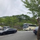 삼안로3R 이미지