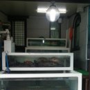 다다복집 이미지