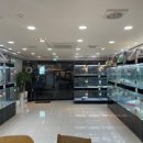 멍멍왕자 야옹공주 이미지