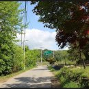 효촌1리 이미지