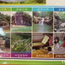 괴산청국장 이미지